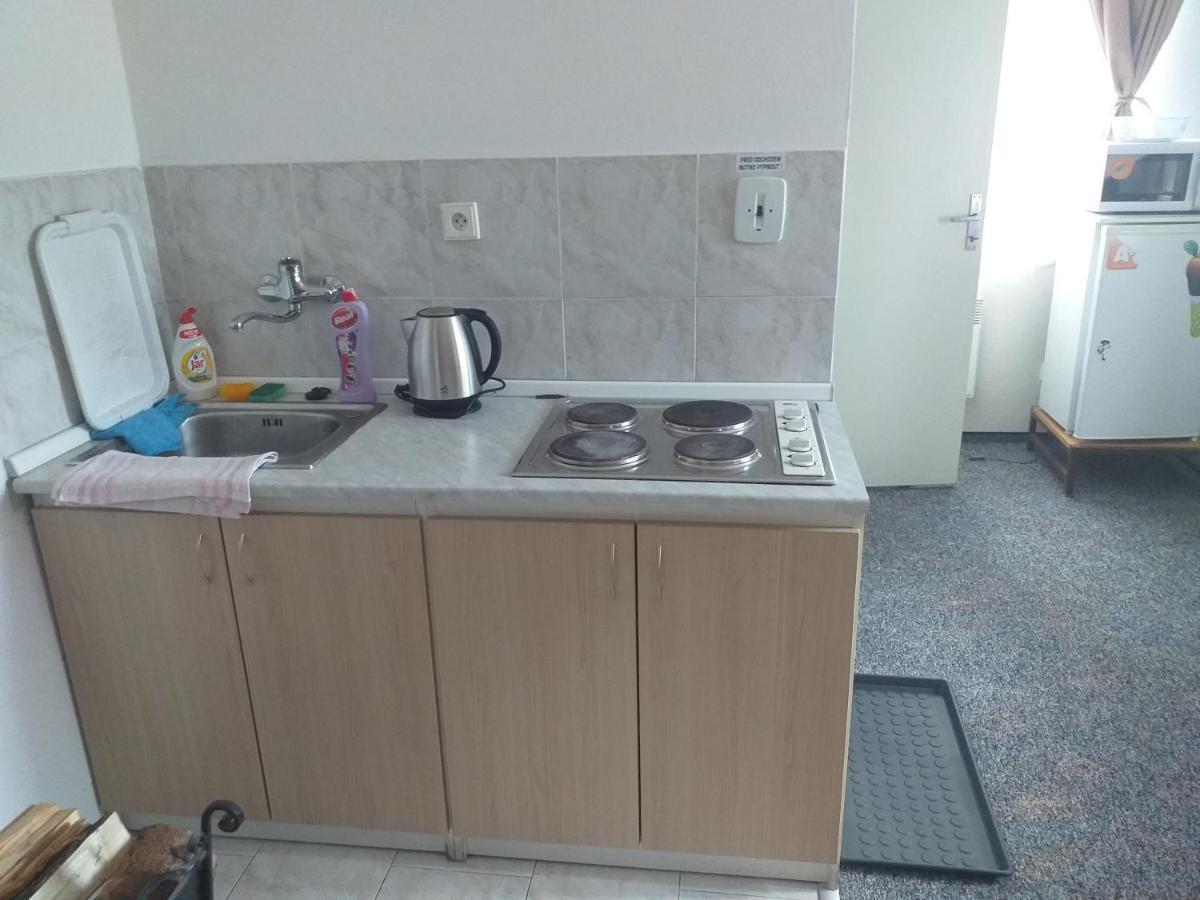 Penzion Na Vysluni Strasin Dış mekan fotoğraf