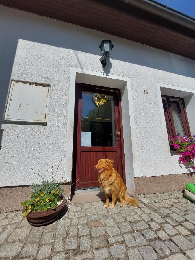 Penzion Na Vysluni Strasin Dış mekan fotoğraf