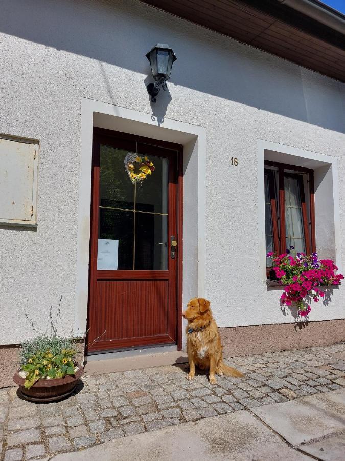Penzion Na Vysluni Strasin Dış mekan fotoğraf