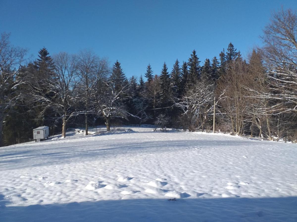 Penzion Na Vysluni Strasin Dış mekan fotoğraf